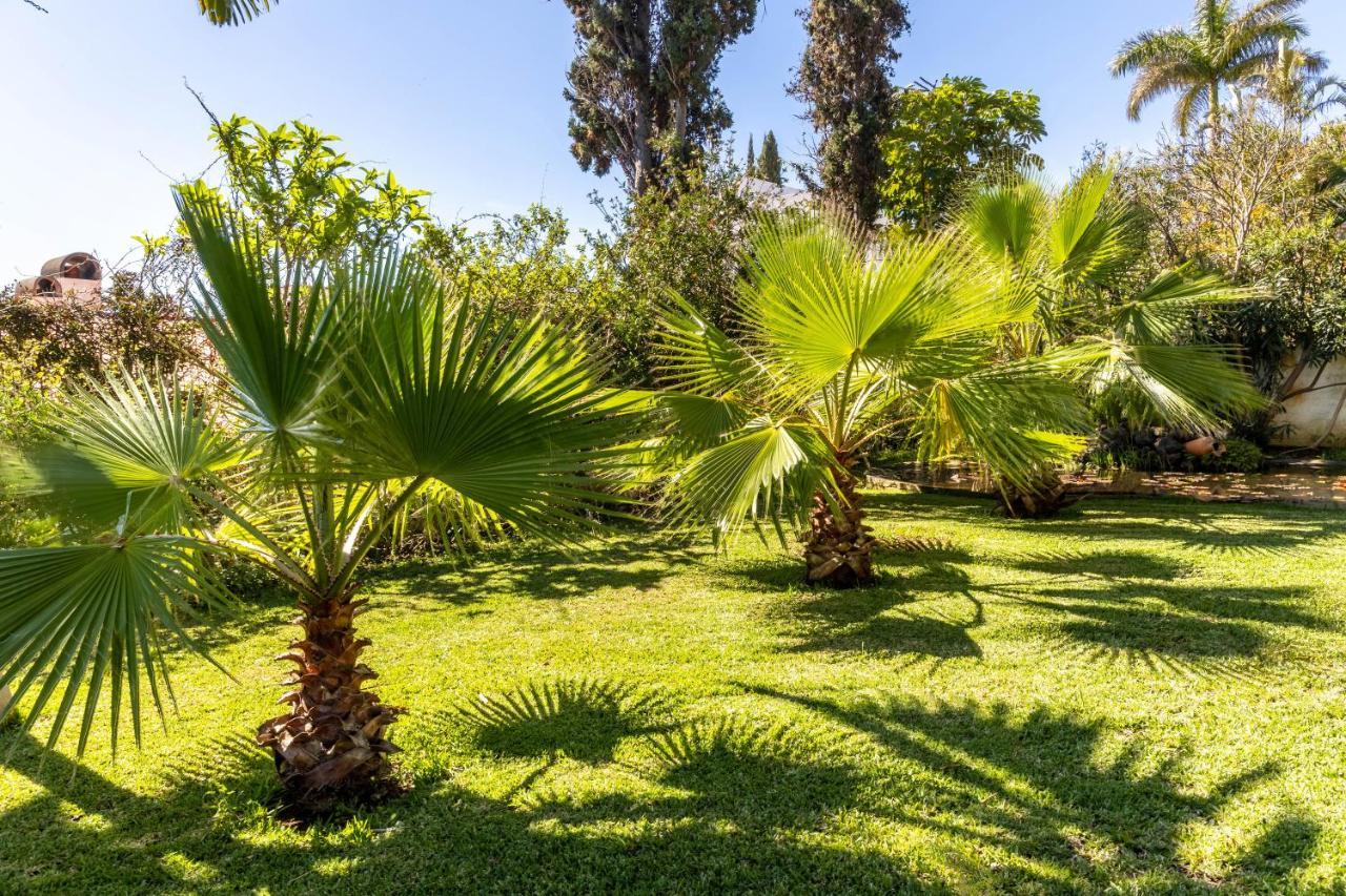 Villa Echium T1 Canico  Ngoại thất bức ảnh